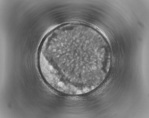 X0000115311045200912141133