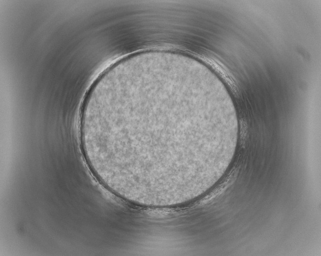 X0000115311046200912141133