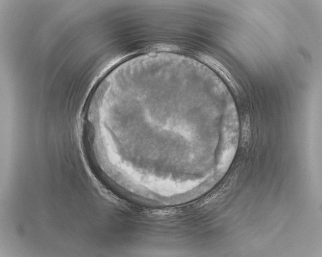 X0000115311047200912141133