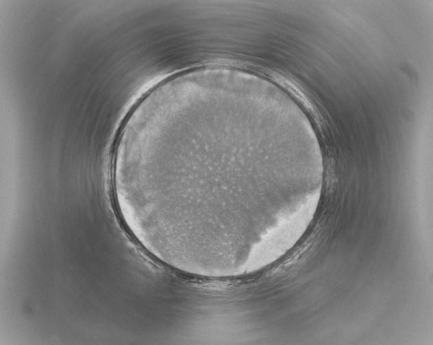 X0000115311048200912141133