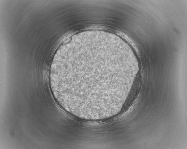 X0000115311049200912141133