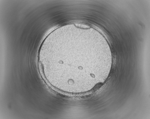 X0000115311050200912141133