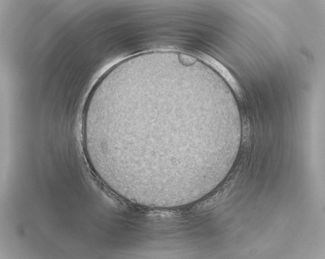 X0000115311051200912141133