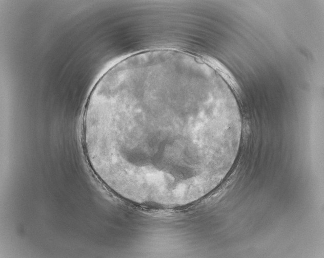 X0000115311052200912141133