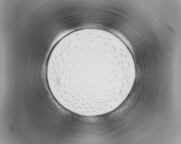 X0000115311053200912141133