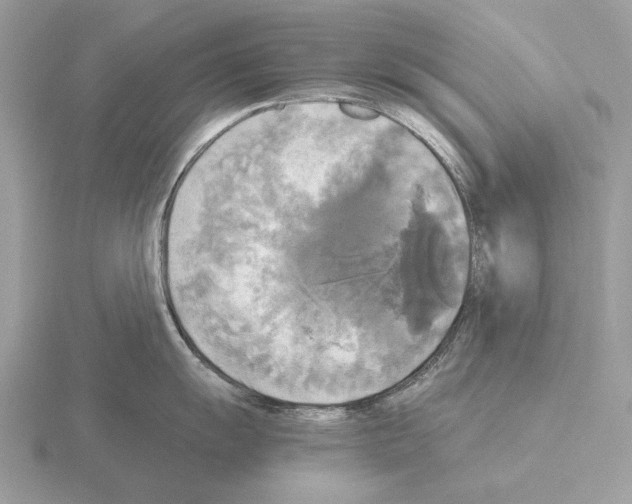 X0000115311055200912141133