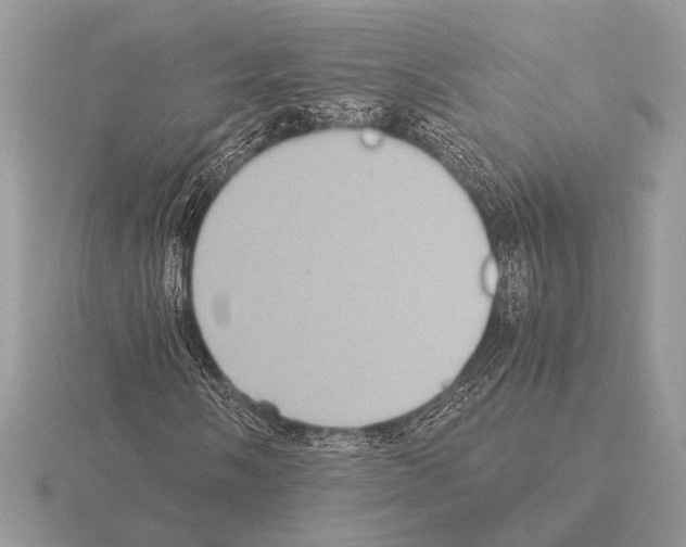 X0000115311058200912141132