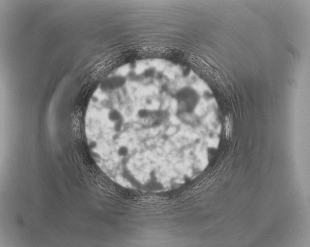 X0000115311059200912141132