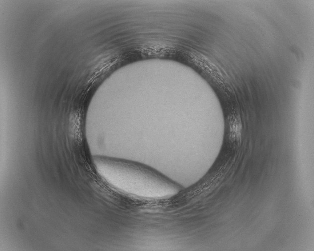 X0000115311060200912141132