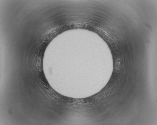 X0000115311062200912141132