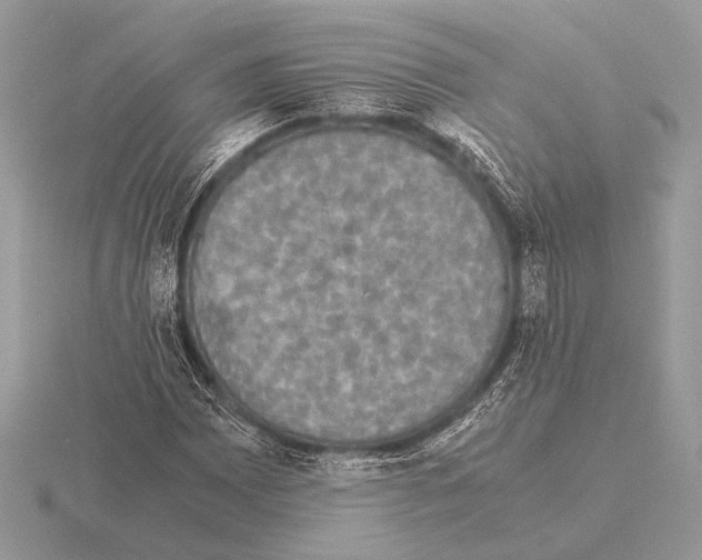 X0000115311065200912141132