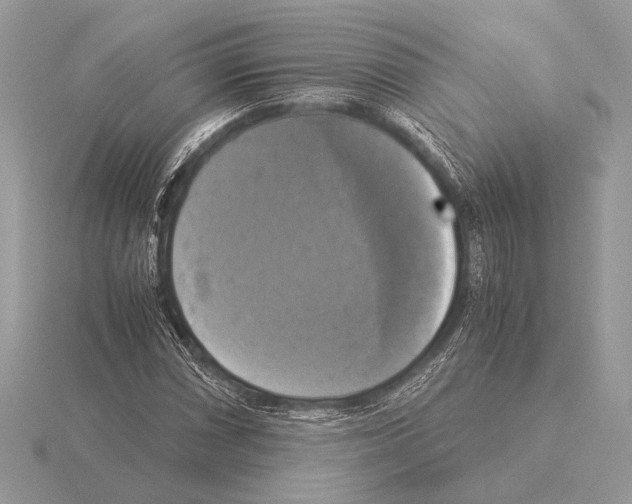 X0000115311066200912141132