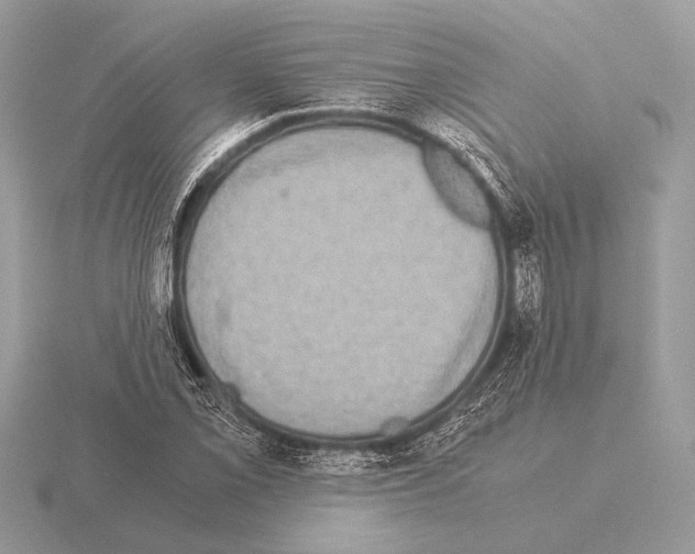 X0000115311069200912141132