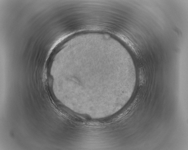 X0000115311070200912141132