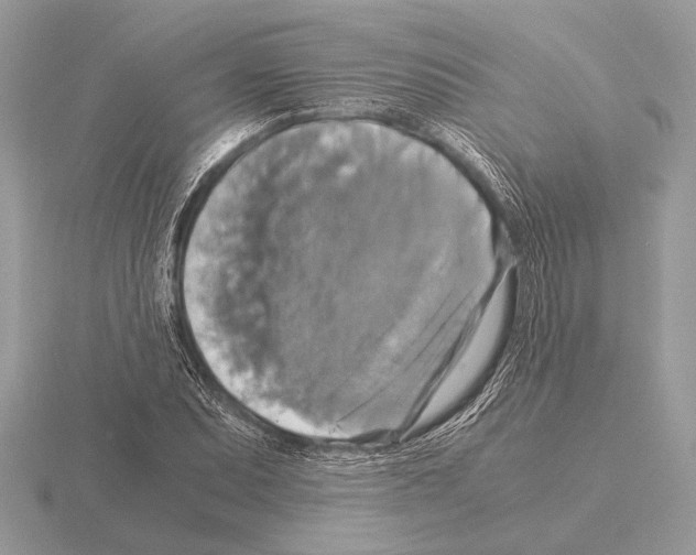 X0000115311071200912141132