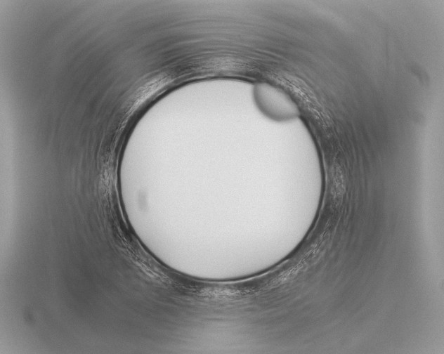 X0000115311073200912141132