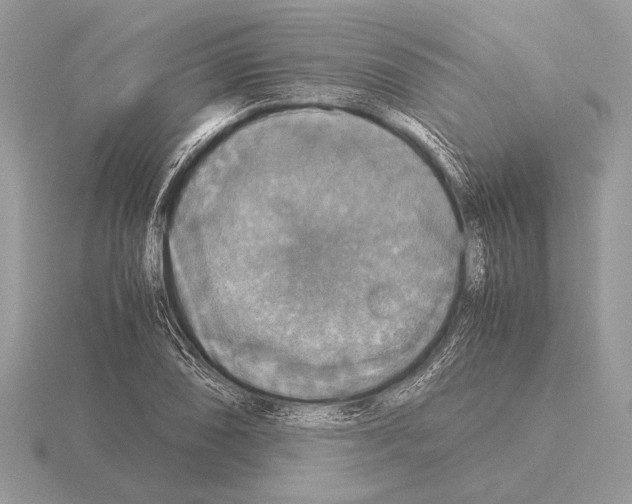 X0000115311074200912141132