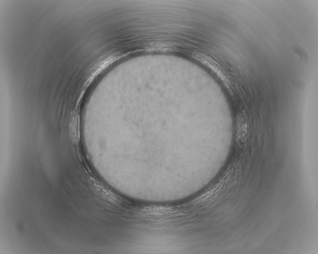 X0000115311075200912141132