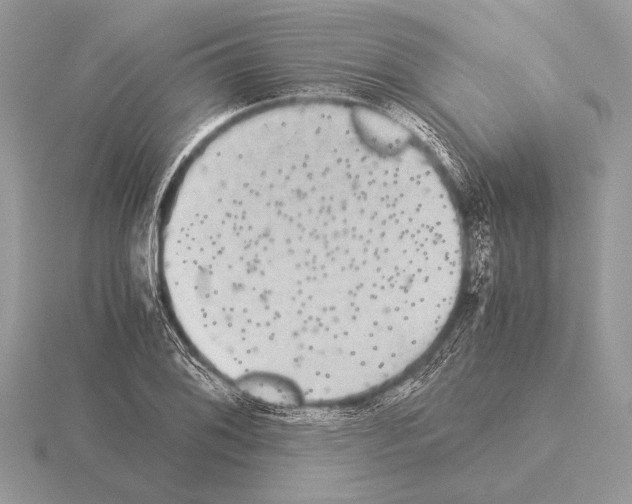 X0000115311076200912141132