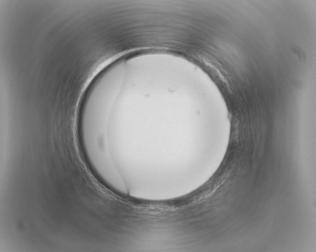 X0000115311077200912141132