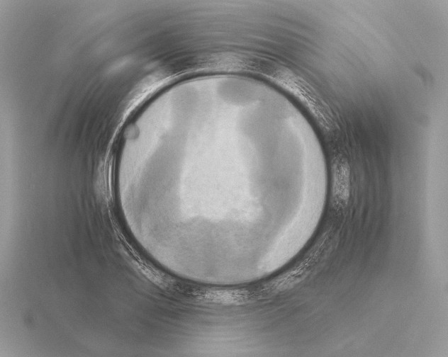 X0000115311078200912141132