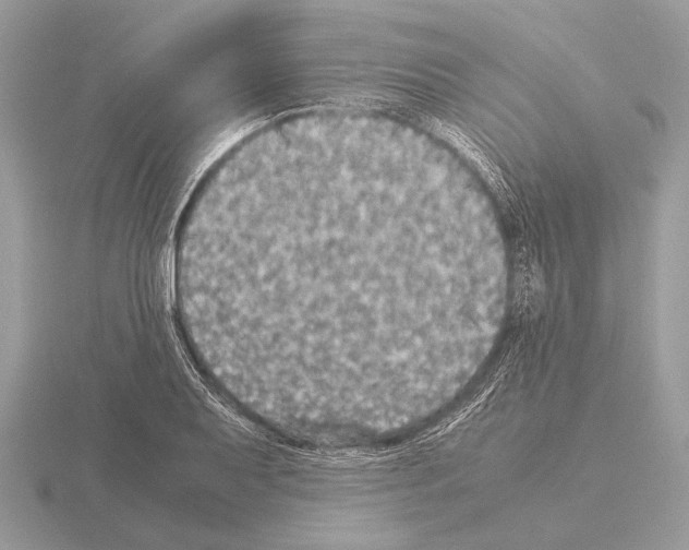 X0000115311079200912141132