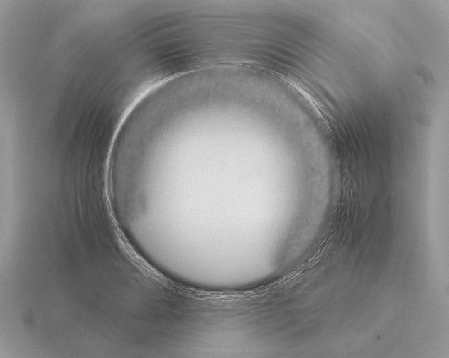 X0000115311080200912141132