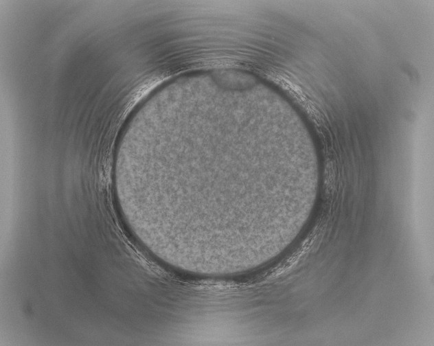 X0000115311081200912141132