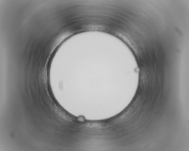 X0000115311082200912141132