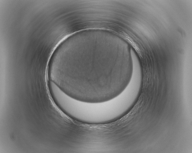 X0000115311084200912141132