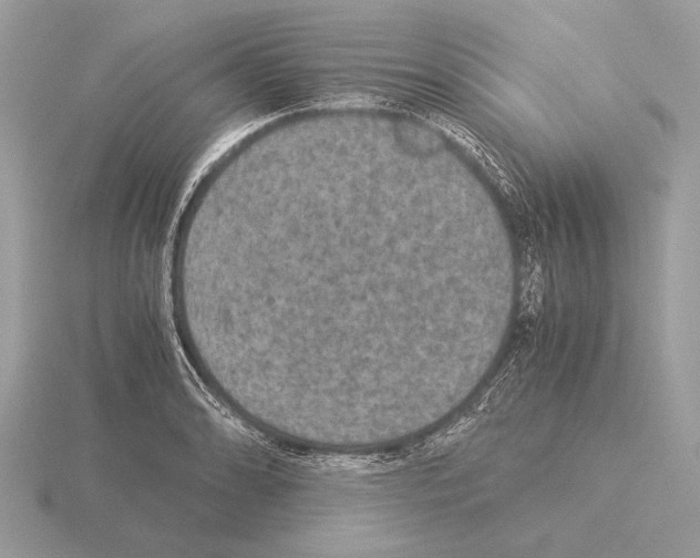 X0000115311086200912141132