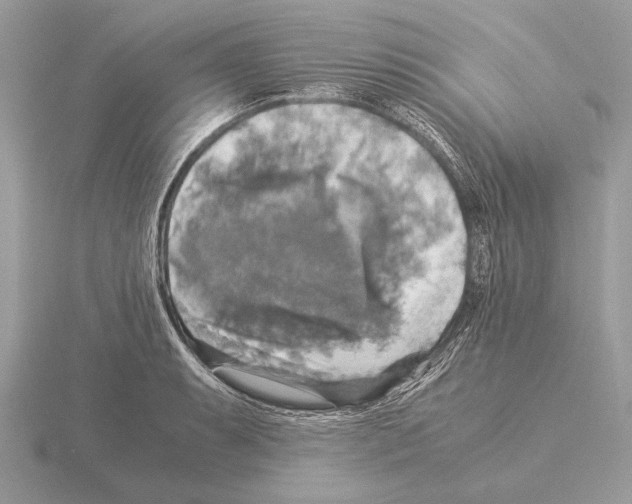 X0000115311087200912141132