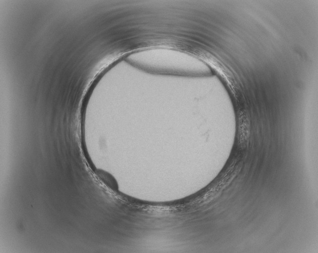 X0000115311088200912141132