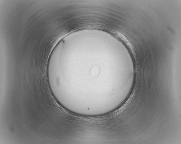 X0000115311089200912141132