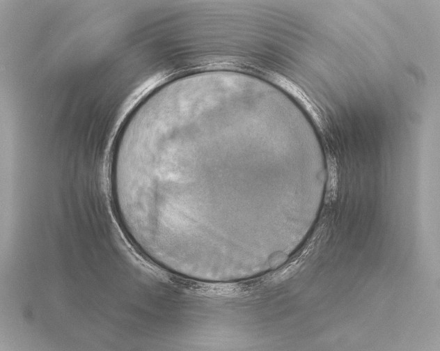 X0000115311090200912141132