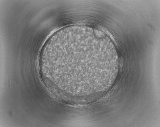 X0000115311091200912141132