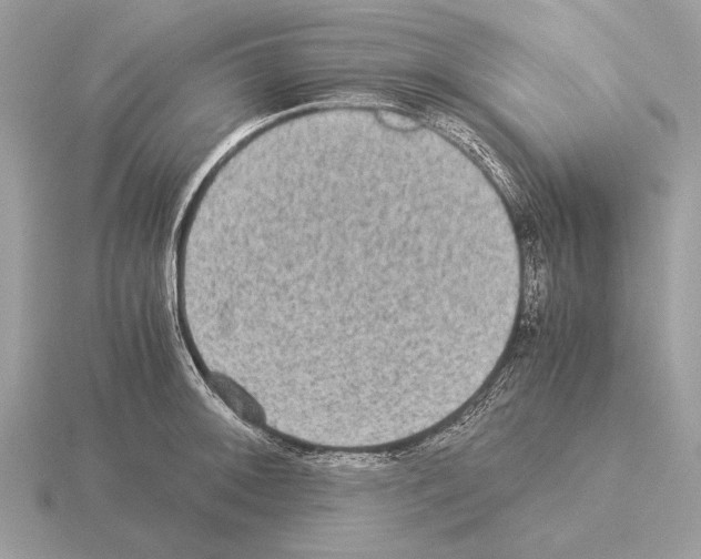 X0000115311092200912141132