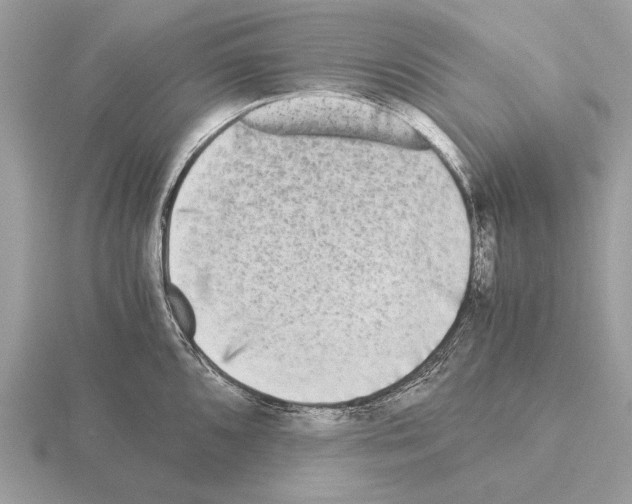 X0000115311096200912141132