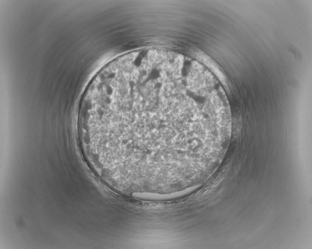 X0000115311099200912141132