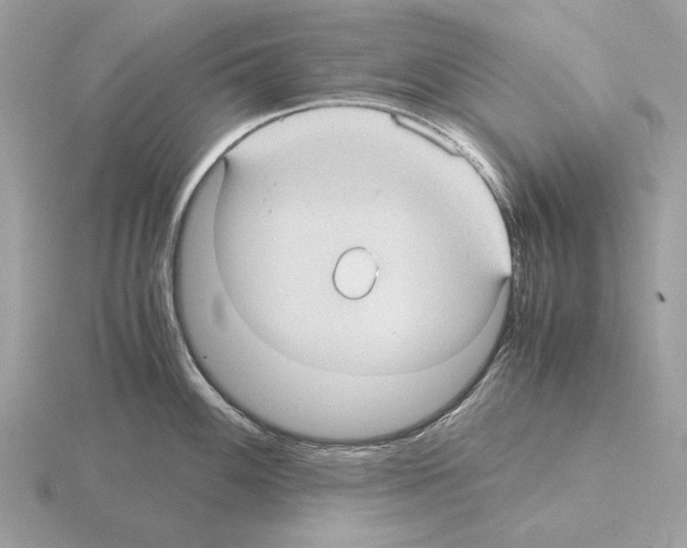 X0000115311100200912141132