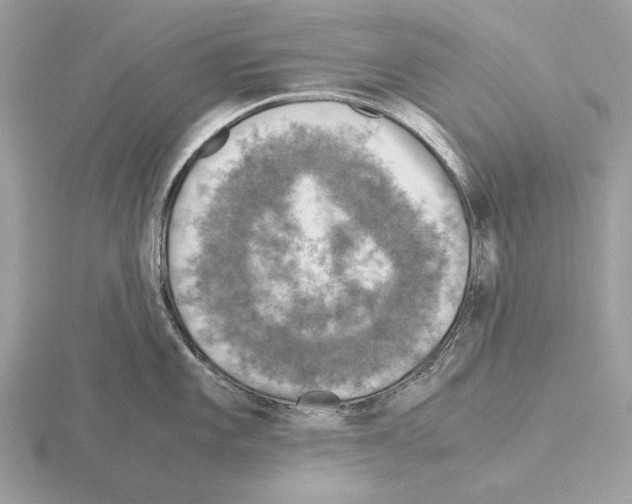 X0000115311101200912141132