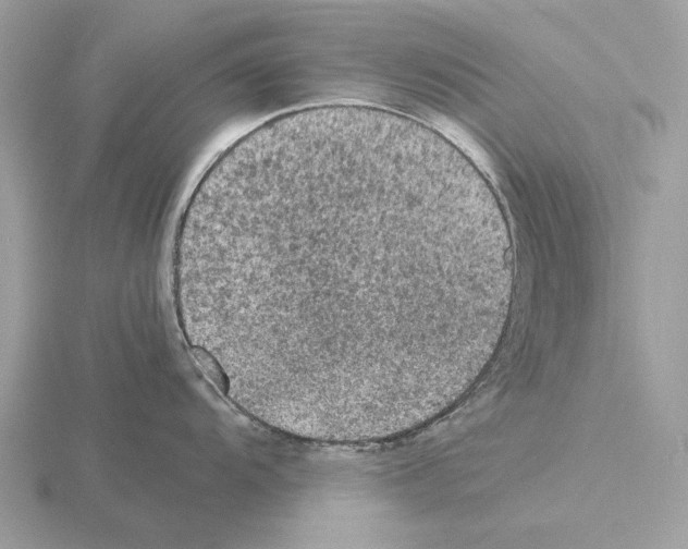 X0000115311104200912141132