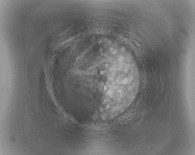 X0000115311105200912141131