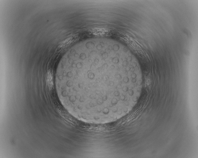 X0000115311106200912141131