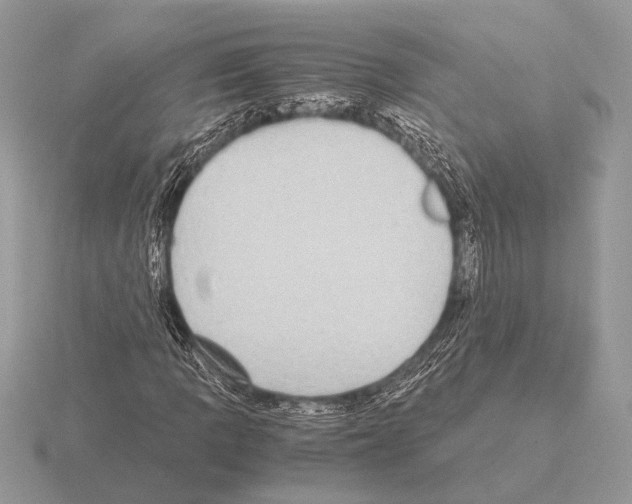 X0000115311109200912141131