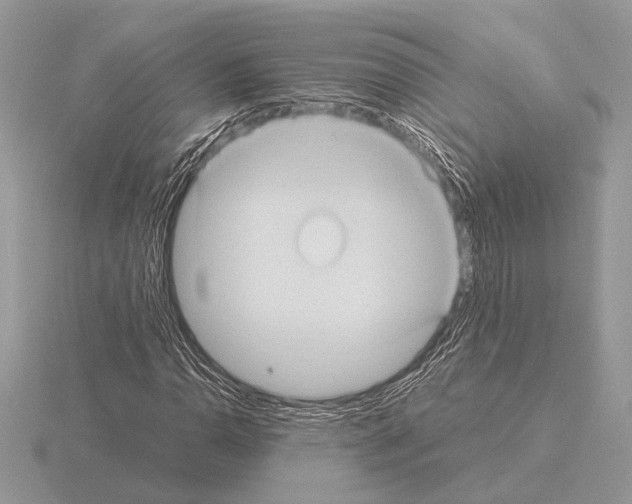 X0000115311110200912141131