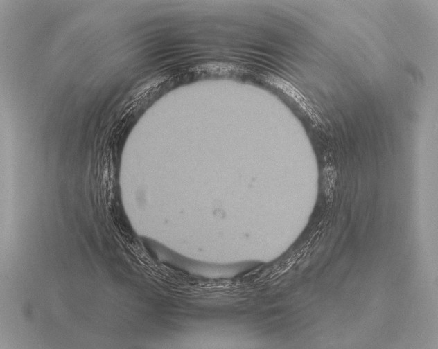 X0000115311111200912141131