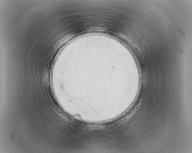 X0000115311113200912141131