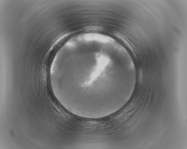 X0000115311115200912141131