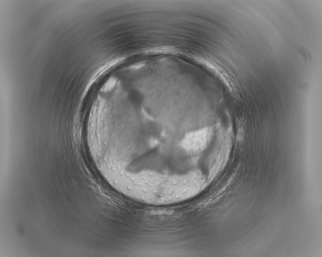 X0000115311117200912141131